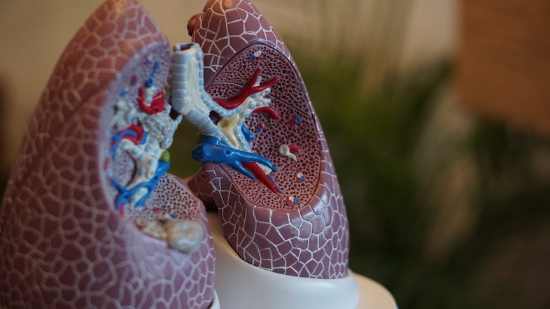 Was die elektronische Zigarette mit Ihrer Lunge macht